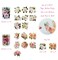 Wrapables Romantic Floral PET Tape, Pre-Cut Stickers for Scrapbooking, Stationery, Journaling, Diary, Card Making (Set of 2), Ivory and Pink